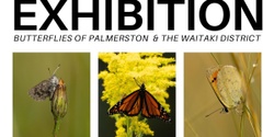 Banner image for Exhibition: Butterflies of Palmerston & The Waitaki District