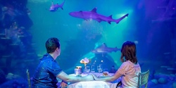 Banner image for Friday 15th February Valentine's Dinner - SEA LIFE Sydney Aquarium