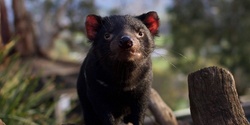 Banner image for Virtual Bonorong Wildlife Rescue Training 9th January 2022