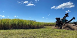 Banner image for Canefields Distillery - Farm Tour