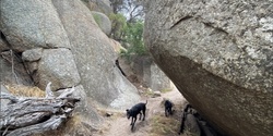 Banner image for WMSS You Yangs Regional Park Doggo Hike 