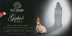 Banner image for ACT Wildlife Gala(h) Ball