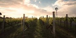 Banner image for Influential Clones: A Chardonnay & Pinot Noir Masterclass [NSW]
