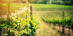 Banner image for Deep Planet - Vineyard Health, Soil Moisture & Yield Prediction Tech Discussion