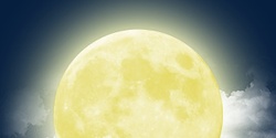 Banner image for Moon Run