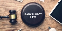 Banner image for The Logic and Limits of Chinese Bankruptcy Law