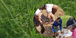 Banner image for Reboot Your Soil Health - Woombye