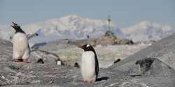 Banner image for EXTREME Antarctica!