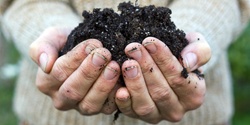 Banner image for Digging Deeper - Understanding Soil Health Online