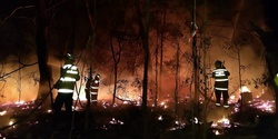 Banner image for Sharing insights to recovery from the 2019-20 bushfires