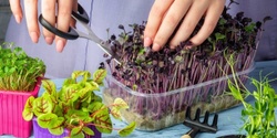 Banner image for Microgreens Workshop