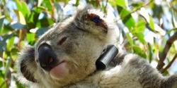 Banner image for Koalas in the Royal