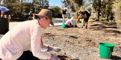 Banner image for Tree Planting Day - Bathurst Campus