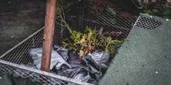 Banner image for Intro To Composting