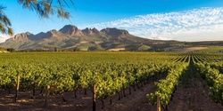 Banner image for The Wines of South Africa with Joa van der Walt