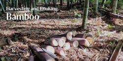 Banner image for Bamboo Harvesting and Cooking with NZ Bamboo Society CANCELLED