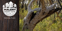 Banner image for The Body Language of Trees - How to read a tree | Maleny Wood Expo 2024
