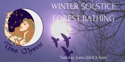 Banner image for Winter Solstice Forest Bathing