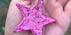 Banner image for Making Christmas Decorations with Seeds – Canberra Seed Savers at Calthorpes House
