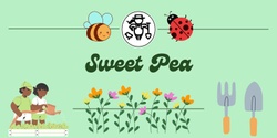 Banner image for Sweet Pea 