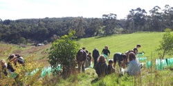 Banner image for Landcare in Bandicoot Bushland (Adelaide Hills)