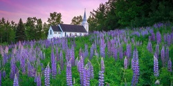 Banner image for Waterfalls & Wildflowers