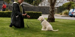 Banner image for June Dog Training- Life Skills Course- June 2024