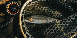 Banner image for Fly Fishing Film Tour