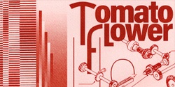 Banner image for Tomato Flower / Babybaby_explores / Vireo
