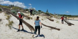Banner image for Dune Brushing at Leighton Beach 
