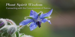 Banner image for PLANT SPIRIT WISDOM