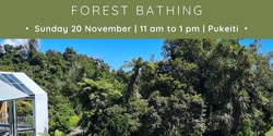 Banner image for Forest Bathing - Guided Nature Connection in Pukeiti