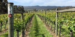 Banner image for Influential Clones: A Chardonnay & Pinot Noir Masterclass [VIC]