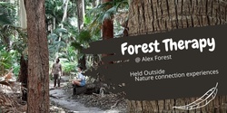 Banner image for Forest Therapy at Alex Forest 1 Oct 23