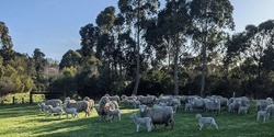 Banner image for Understanding carbon on farms - Towards carbon neutral