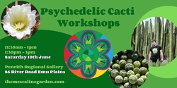 Banner image for Psychedelic cacti workshops