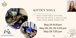 Banner image for Kitten Yoga - Meet and greet adorable kittens, revitalize with a yoga flow and find your inner purr-pose