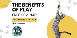 Banner image for Seminar: The Benefits of Play