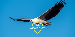 Banner image for Birds in Flight Photography Workshop | Maroochydore | Intermediate (127480)