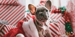 Banner image for The Square Mirrabooka Santa Pet Photography
