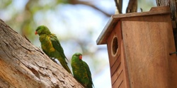Banner image for Discover our Wildlife Boxes
