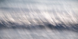 Banner image for Creating Wave Art