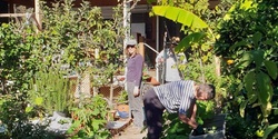 Banner image for Volunteer Session 4 - Vegetable Garden Maintenance