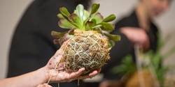 Banner image for Kokedama Moss Balls with Winter