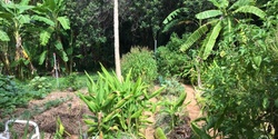 Banner image for Permaculture Syntropic Gardening Introduction