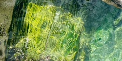 Banner image for Underwater Writing - 22 April 2024