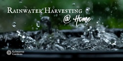 Banner image for Rainwater Harvesting at Home
