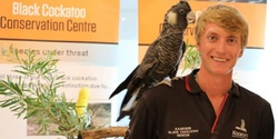 Banner image for Kaarakin: Black Cockatoo Experience - Karrinyup