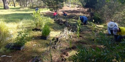 Banner image for Wildlife Food Bank Planting Day