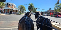 Banner image for Dalby Town Horse and Carriage Tours